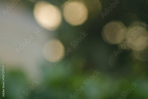 Green bokeh background from nature forest with morning sunlight out of focus	

