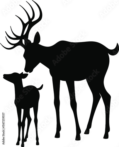 Majestic buck and fawn silhouette wildlife nature