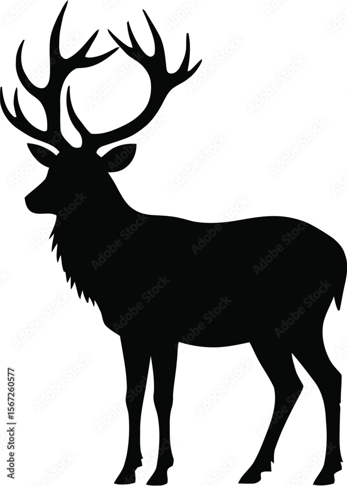 Fototapeta premium Majestic deer silhouette elegant wildlife animal