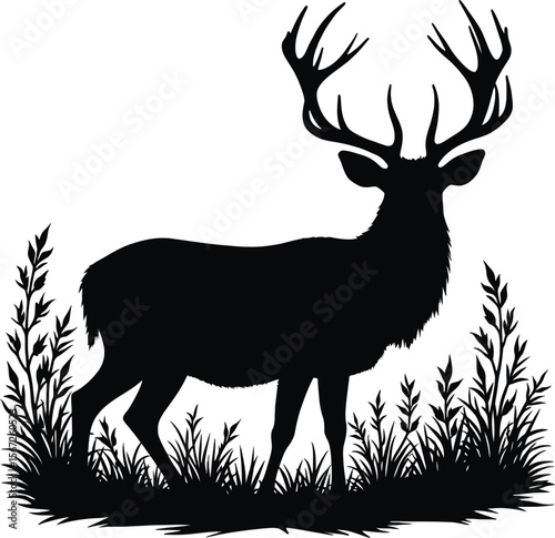 Majestic deer silhouette in grassy meadow