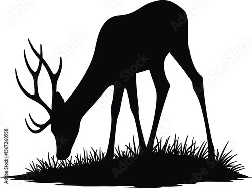 Majestic deer silhouette grazing in grassland
