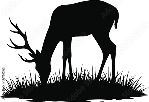 Majestic deer silhouette grazing in tall grass