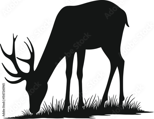 Majestic deer silhouette grazing in grassland