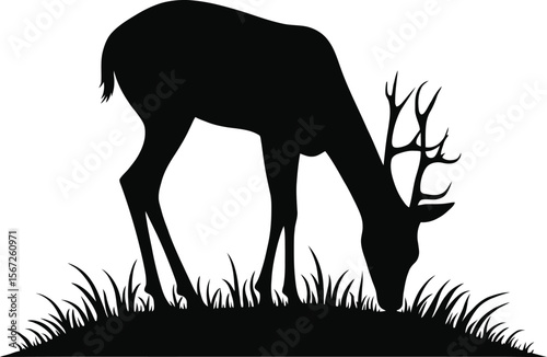 Majestic deer silhouette grazing in grassland