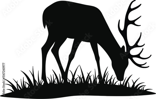Majestic deer silhouette grazing in grassland