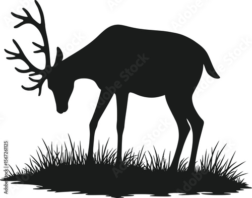 Majestic deer silhouette grazing in tall grass