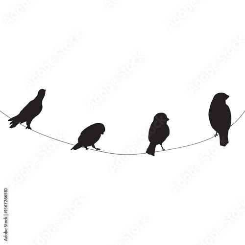 Silhouetted birds perch on a wire facing different directions