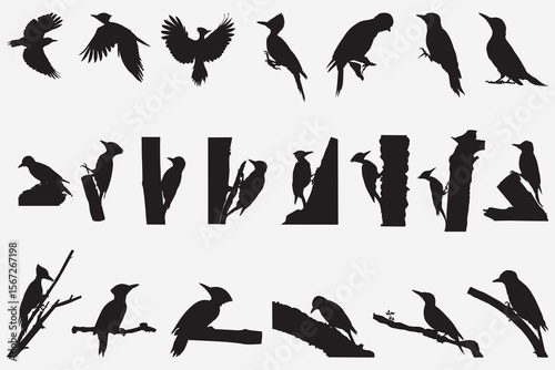Image shows 20 black bird silhouettes in varying poses against a white background