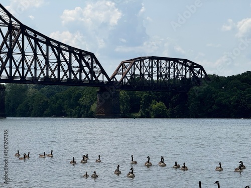 bridge over the river