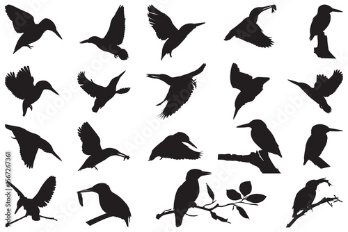 Silhouette of twenty kingfisher birds in various poses flying or perched on branches isolated on a white background