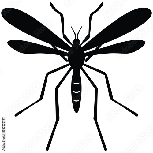 Detailed mosquito silhouette represents dangerous insect-borne disease vector