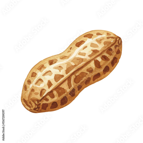 Vector watercolor peanuts / 水彩テイストのピーナッツイラスト