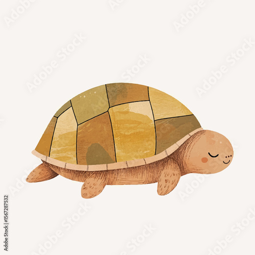 a cute Tortoise