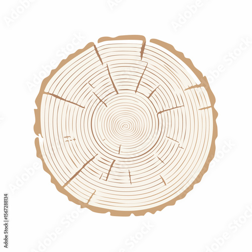 Cross-section of a tree trunk, showcasing concentric rings and detailed wood grain texture.