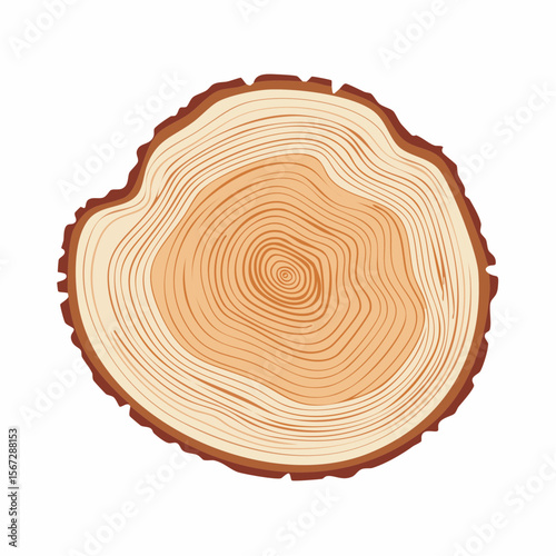 A cross-section illustration of a tree trunk showing growth rings.