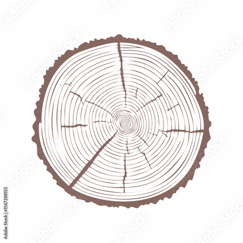 A cross-section of a tree trunk showing growth rings and bark, isolated on a white background.