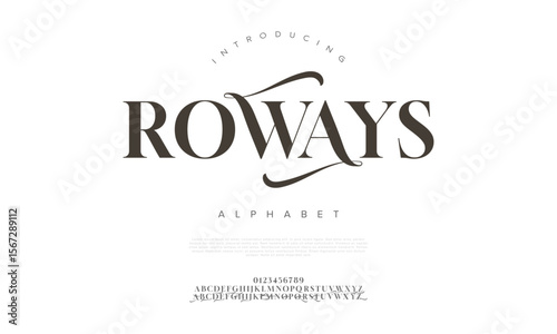 graceful serif font with smooth swashes and elegant curves, perfect for branding and editorial designs