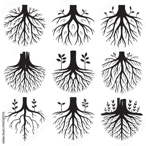 Collection of black silhouette tree roots with growing saplings and stumps