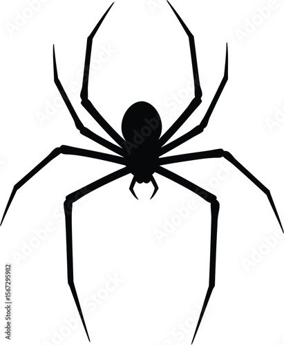 Silhouette of a black spider with long legs, isolated on white background.