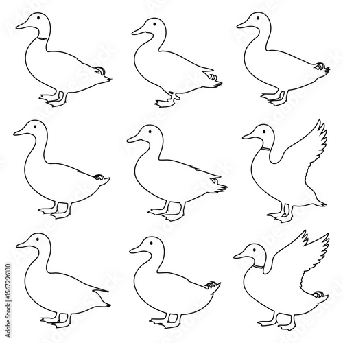 Collection of nine simple black and white line art drawings of ducks in various poses