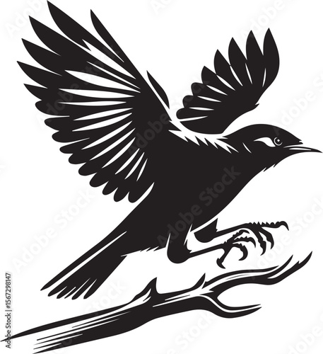 Vector bird myna silhouette illustration