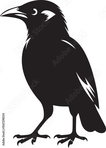 Vector bird myna silhouette illustration
