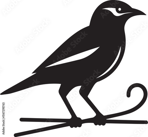 Vector bird myna silhouette illustration