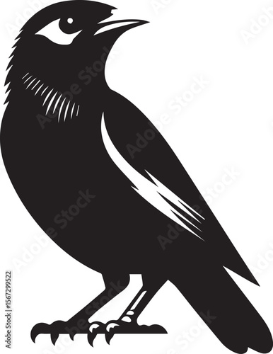 Vector bird myna silhouette illustration