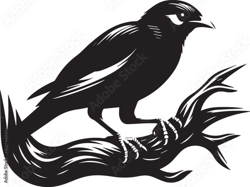 Vector bird myna silhouette illustration