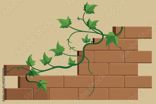 ivy growing on wall
