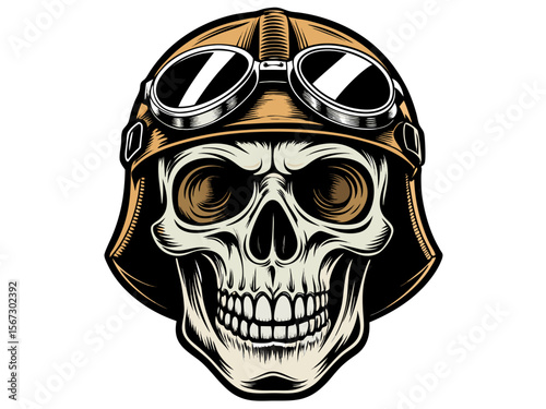 skull illustration