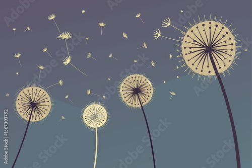 dandelion on blue background