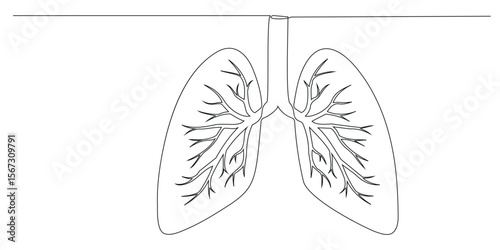Lungs Hand drawn icon continuous one line drawing. Human organs Creative abstract art background, Single continuous line art of lungs. Lungs human organ one line vector illustration