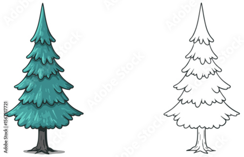 Cartoon illustration of a tall, slender coniferous tree, shown both colored in teal and as an outline for coloring. Ideal for children's educational materials or nature themes.