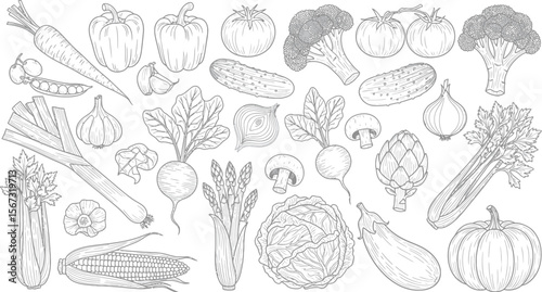 Collection of fresh vegetables hand drawn outline illustration