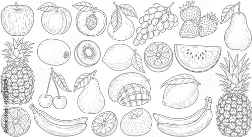 Collection of hand drawn fruit illustrations in black and white line art style