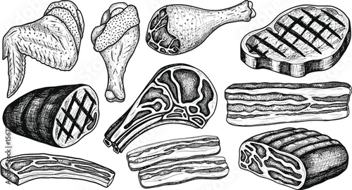 Collection of hand drawn meat cuts including steak chicken and beaf