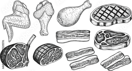 Collection of hand drawn meats including chicken wings drumstick steaks and bacon