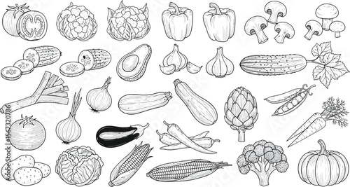 Collection of fresh vegetables hand drawn line art illustration isolated on white background