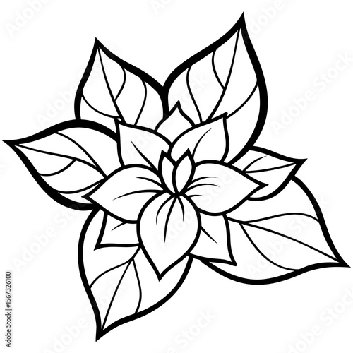 black and white flower