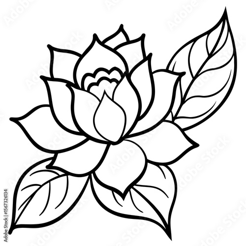 black and white rose