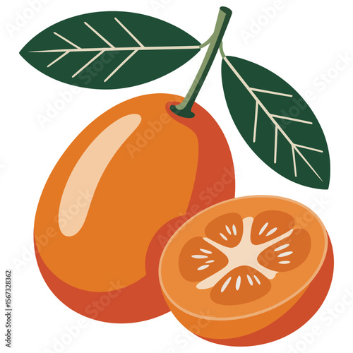 vector illustration of orange fruit
