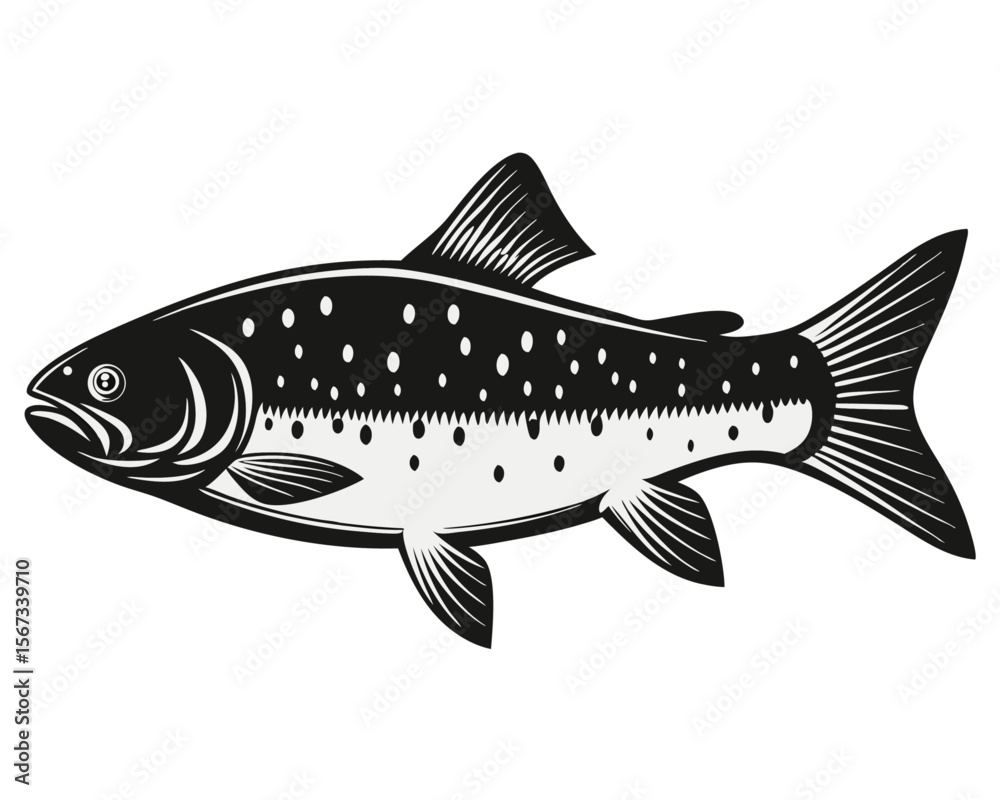 Fototapeta premium Detailed lifelike depiction of a european chub fish rendered with vibrant color separations and isolated on a clean background for versatile design applications