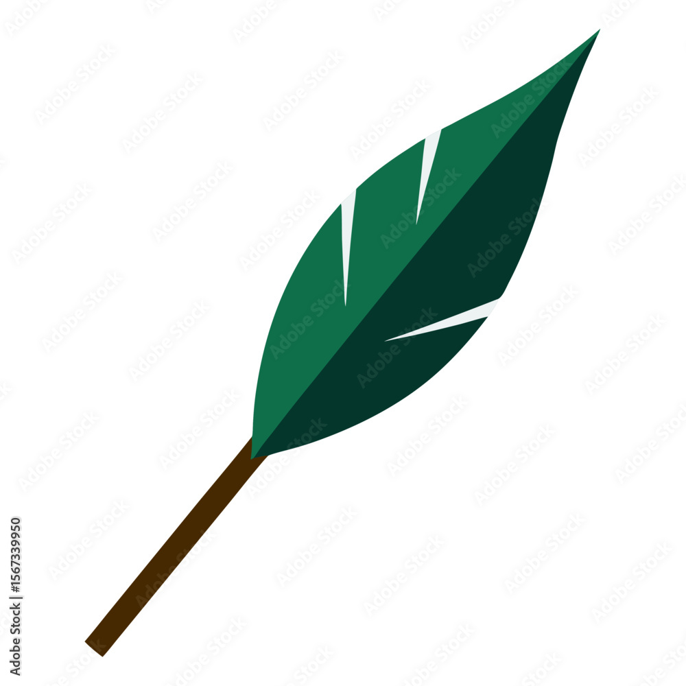 Obraz premium Aristate leaf long pointed tip vector icon on white background.
