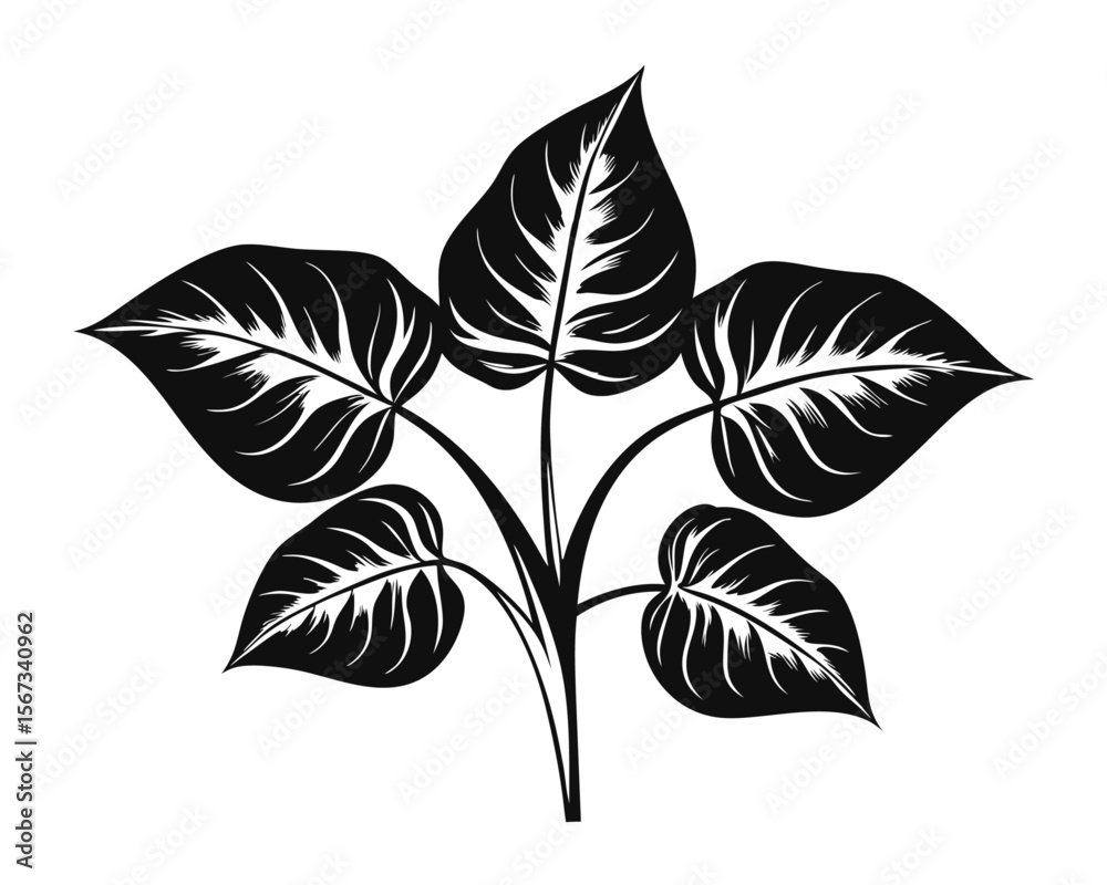 A curated collection showcasing the elegant silhouettes of diverse beautiful botanical plant foliage ideal for naturalistic design projects and organic themes A curated collection showcasing the elegant silhouettes of diverse beautiful botanical plant foliage ideal for naturalistic design projects and organic themes