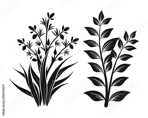 Comprehensive collection of diverse botanical elements including various grasses shrubs and herbaceous plants rendered in a clean striking silhouette style for versatile design applications