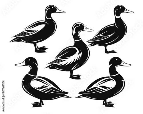 Collection of distinct mallard duck outlines and profiles showcasing various poses and naturalistic avian forms for creative projects and decorative applications