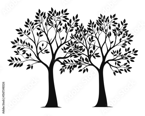 Striking forest canopy composed of multiple evergreen trees presented as a stark dark silhouette against a bright clear background ideal for nature themed projects