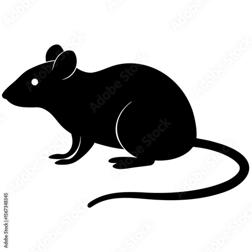 A black mouse is isolated on white background