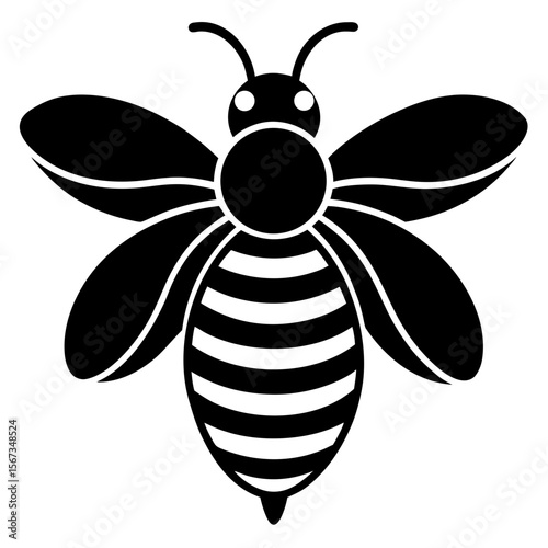 A black bee is isolated on white background